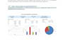 create a professional excel dashboard, mis report